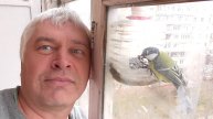 Я возле окна. Птицы синицы прилетают и улетают обратно