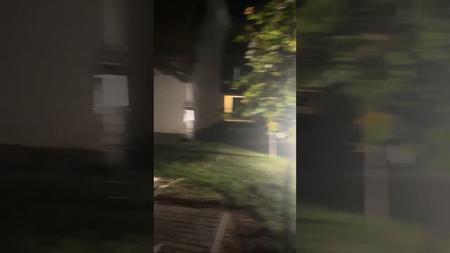 Ценнейшая скульптура найдена и возвращена 2