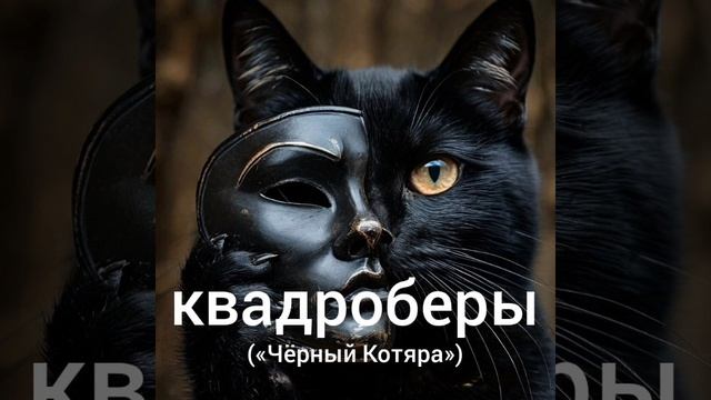 Квадроберы (автор "Чёрный Котяра")