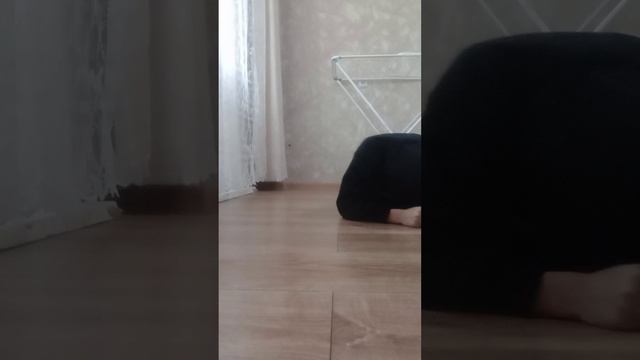 злоумышленник из роблакса ральнова жизнь серия 2