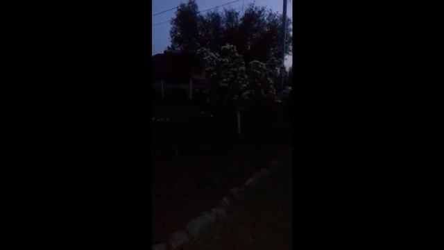 Майский вечер