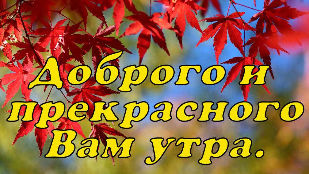 Доброго и прекрасного Вам утра.☕🍬🌼