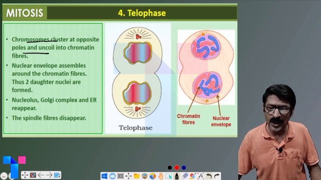 Plus One Focus Area 2021 | Cell Cycle and Cell Division | Biology