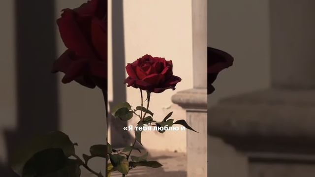 С днем Влюбленных!!!