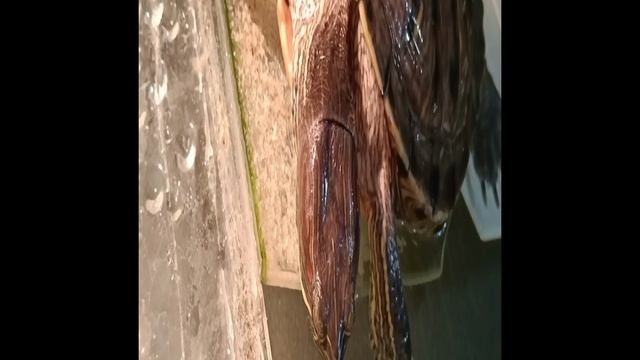 Ушла в воду