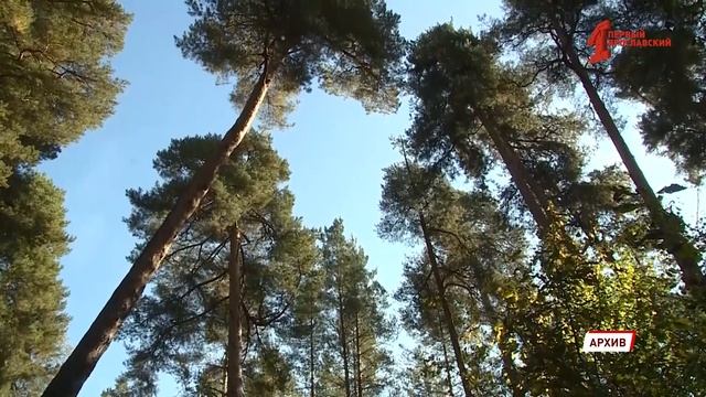Новые кадровые перестановки в региональном правительстве