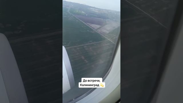 До встречи, Калининград