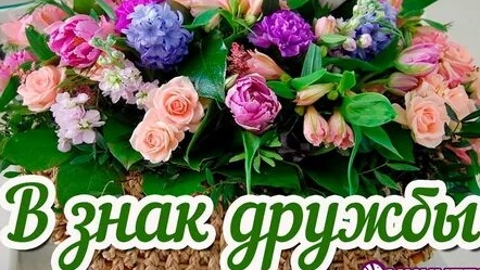 Посвящение друзьям!