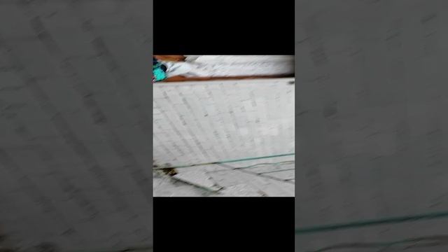 VID_20241113_123842.mp4