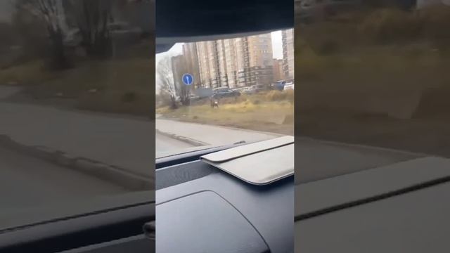 В Долгопрудном сегодня по городу бегал испуганный олень