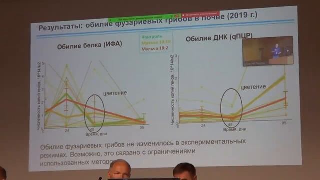 Плейотропный эффект детритной субсидии в агроэкосистеме