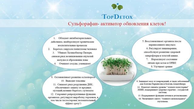 TOP DETOX - сенсация от японского производителя SHISEIDO