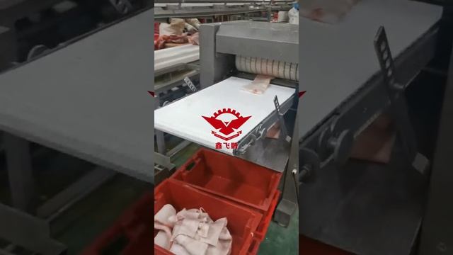 Шкуросъемные машины XFP