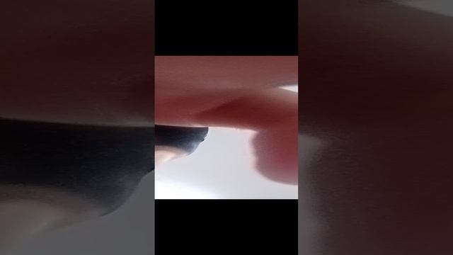 кондиции на камеру