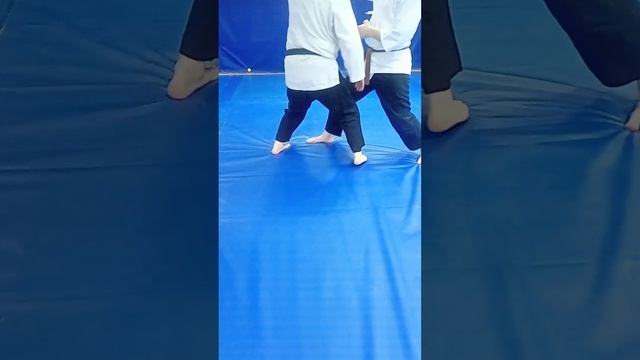 Углы входа на кокью наге. Обучающий семинар традиционных техник синтэн-рю. 10 марта 2024 г.