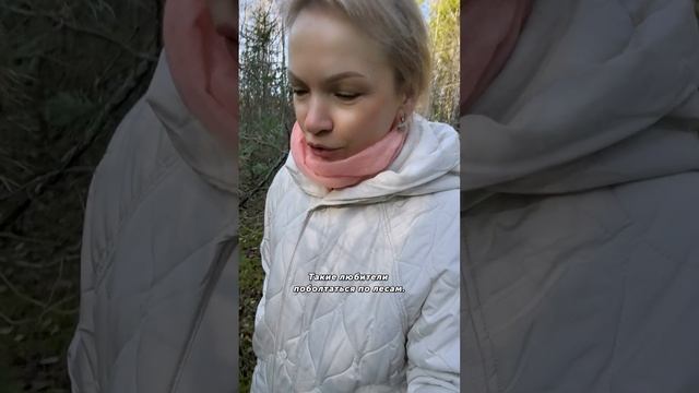 Любители поболтаться по лесам #природа #лес #красота #очарованиеприроды