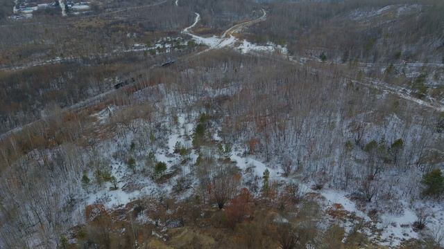 Амурская обл