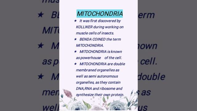 NOTES FOR TOPIC CELL ORGANELLE: PLASTID AND MITOCHONDRIA