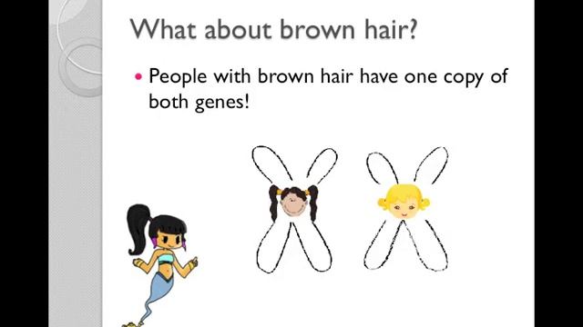 How did I get my blonde hair, Mom? - 5th grade