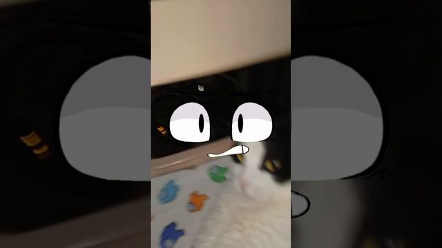 1000005878.mp0987654321