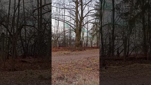 Федоровский собор. Пушкин. Санкт Петербург