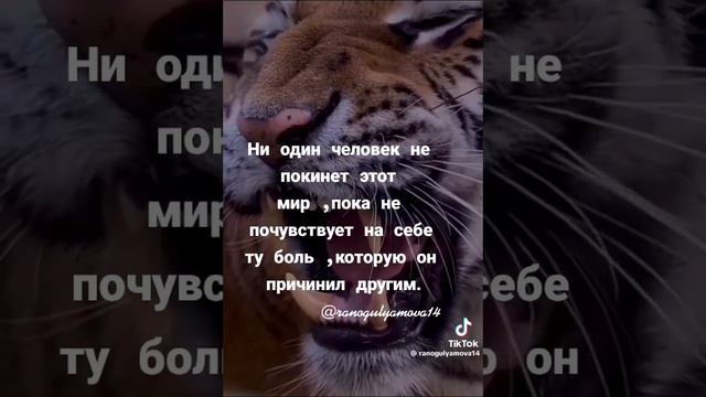 1000312391.mp4