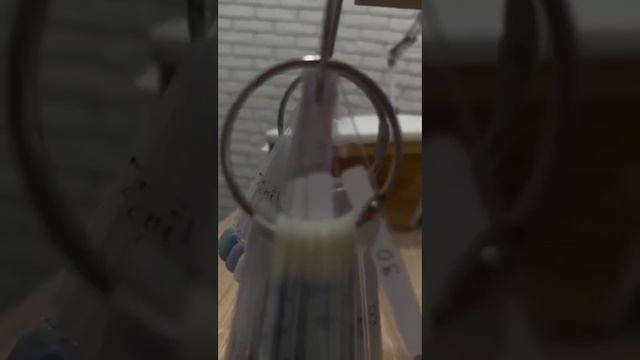 1000100979.mp4