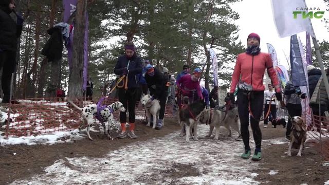 В Самаре прошел забег с собаками