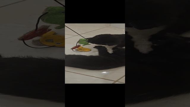 1000051033.mp4