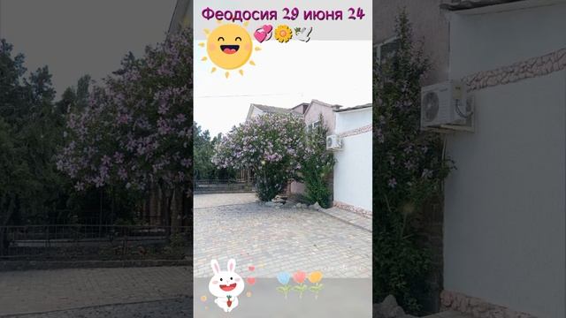 Феодосия 29 июня 24 💞🦋☀