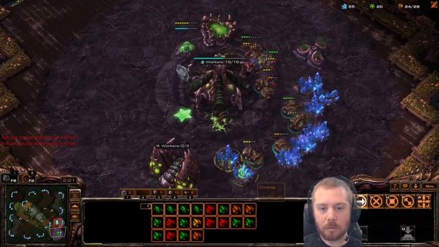 NewBreed vs BraveBoy ZvZ on Babylon 2023-05-28