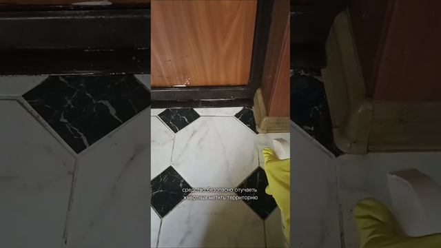 ЛИКВИДАТОР ЗАПАХОВ с ВБ