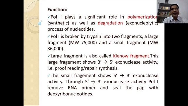 9 Enzymes and Proteins involved in DNA Replication