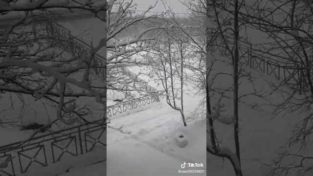 1000008862.mp4