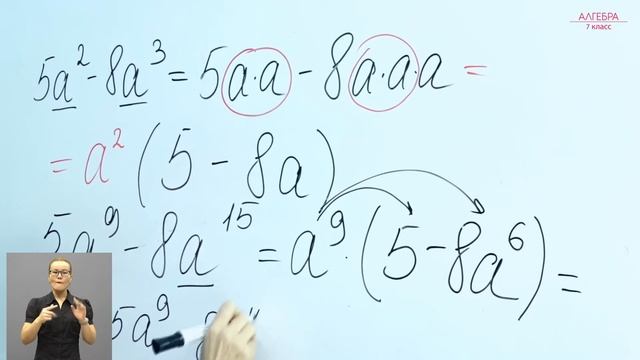 7-класс | Алгебра | Разложение многочлена на множители