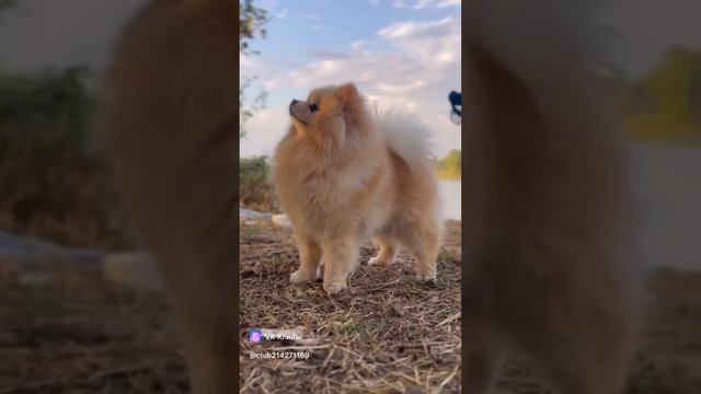 1000016408.mp4