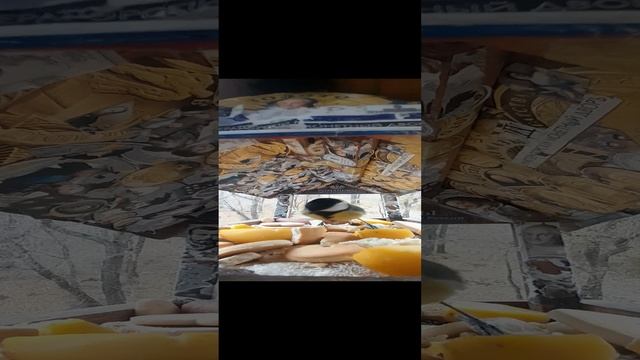 1000032196.mp4Жизнь кормушки.13.11.2024г.