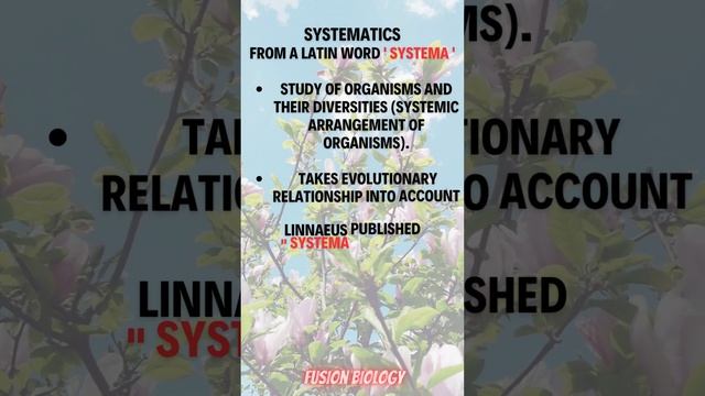 Definition of classification, taxonomy and systematics