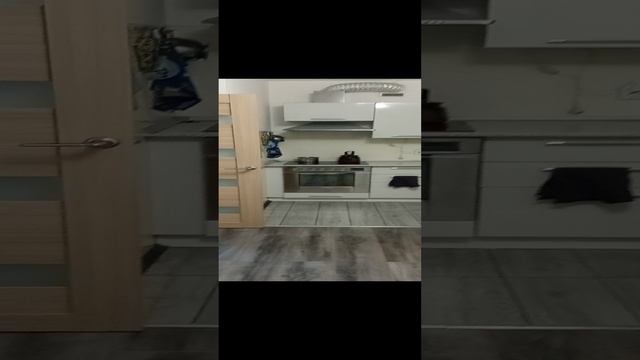 VID_20241113_164208.mp4