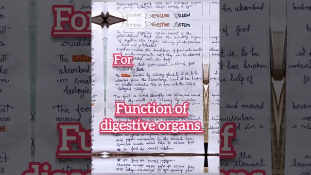 Human digestive system and functions of its organ @hiyolury7025