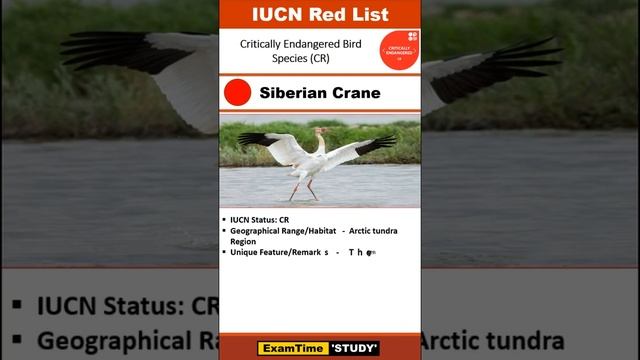 🔴 Siberian Crane, IUCN Red List, UPSC