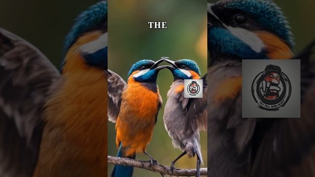 How Animals Communicate in the Wild (2024)