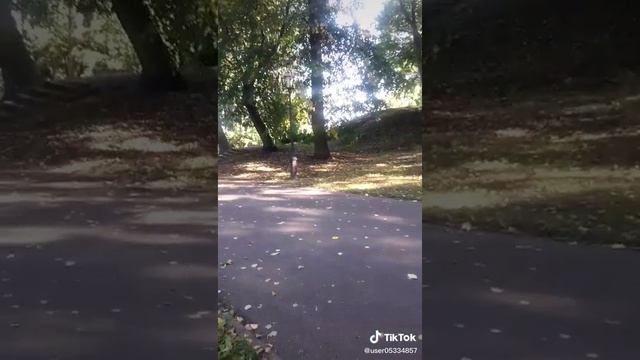 1000008785.mp4