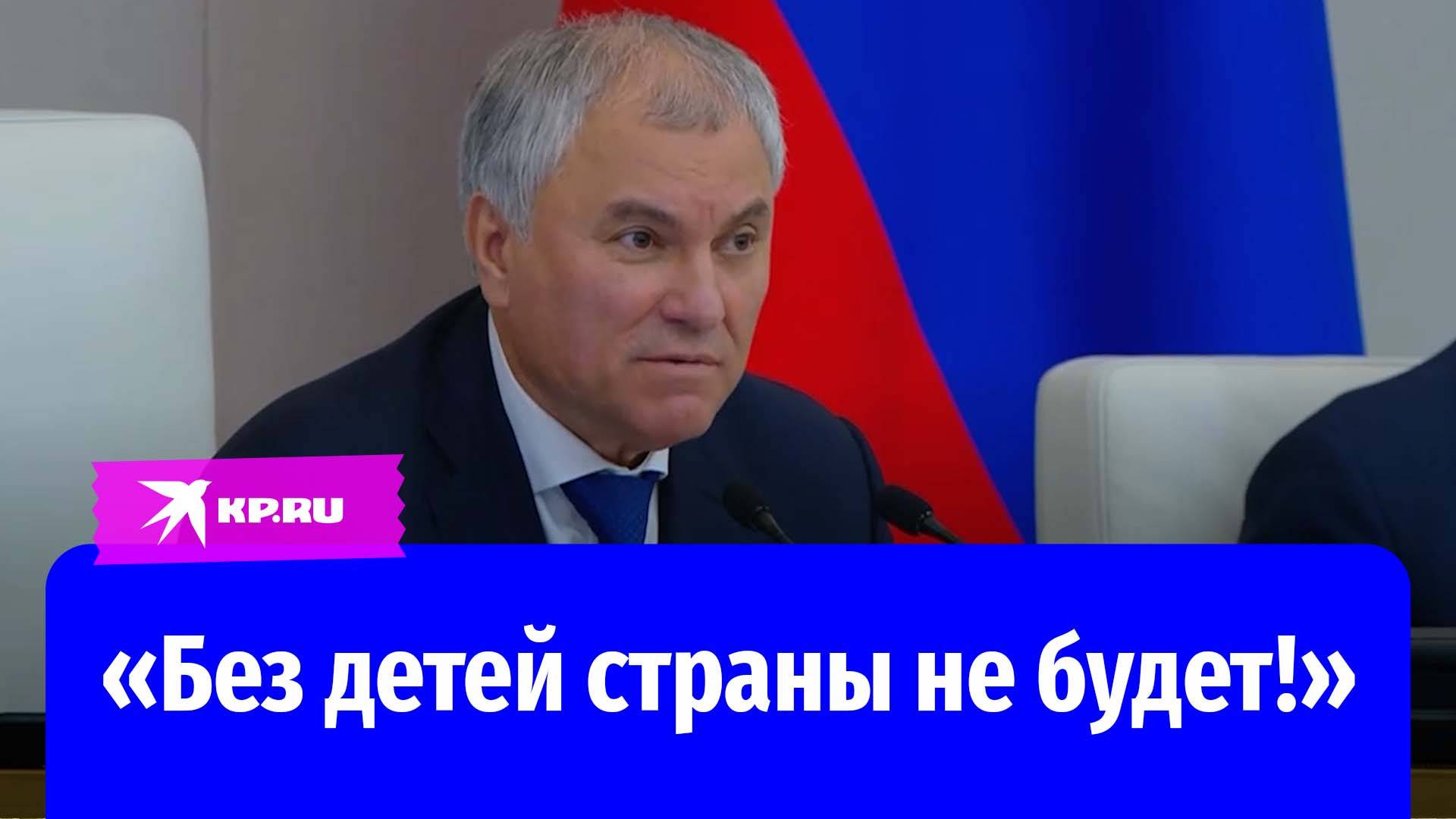 Володин объяснил важность закона о запрете пропаганды чайлдфри