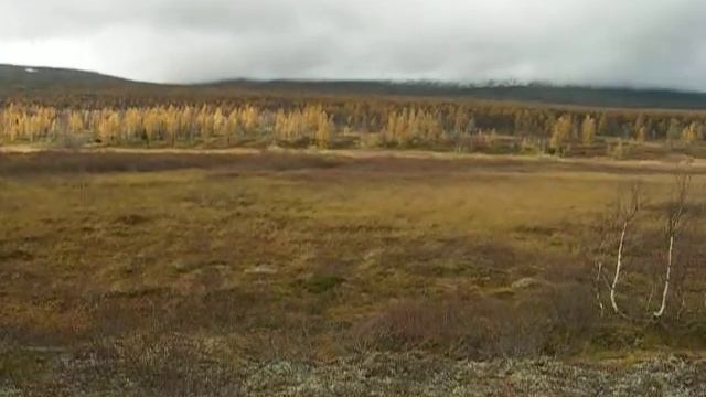 Верховья ручья Лев.Вож Косью.