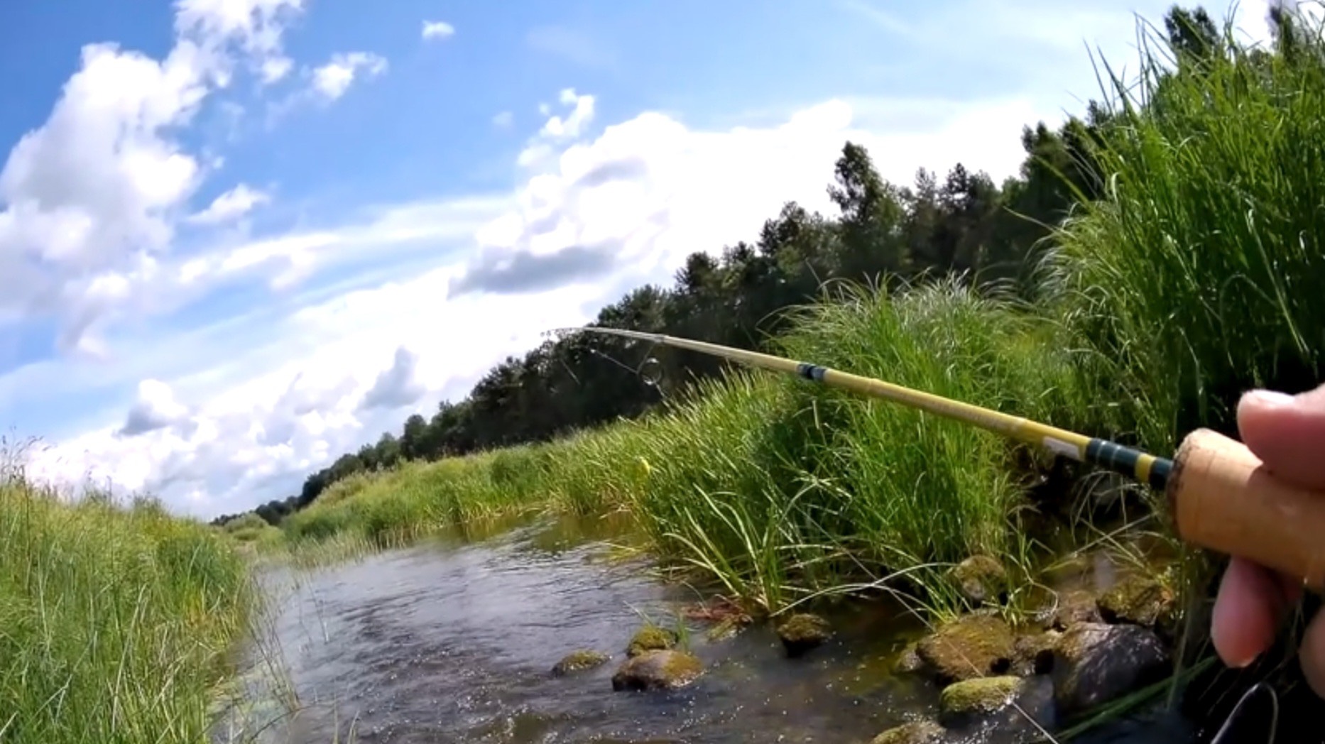 ЖАРКИЙ ИЮЛЬ 2024 МОЛОГА СПИННИНГ ЧАСТЬ 10