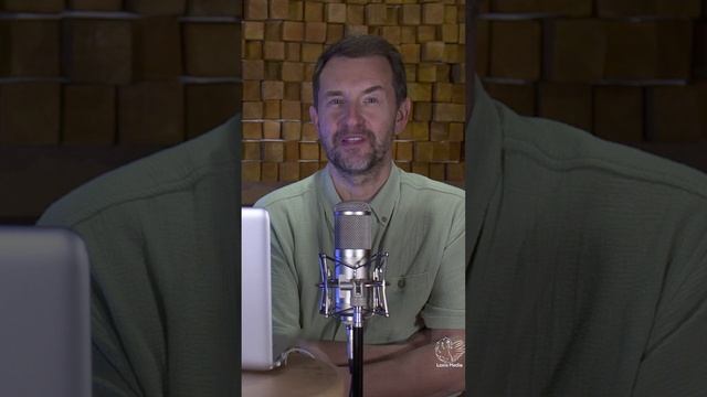 Тэйлор Свифт и её фанаты