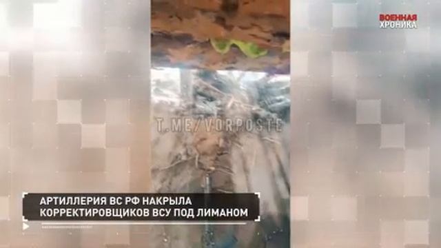 12 ноября. Собрали главные видео дня