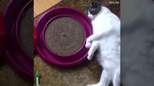 Тест на психику кто заржёт тот псих
