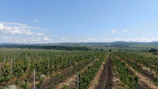 Видео WhatsApp 2024-11-11 в 17.02.17_67b605a6